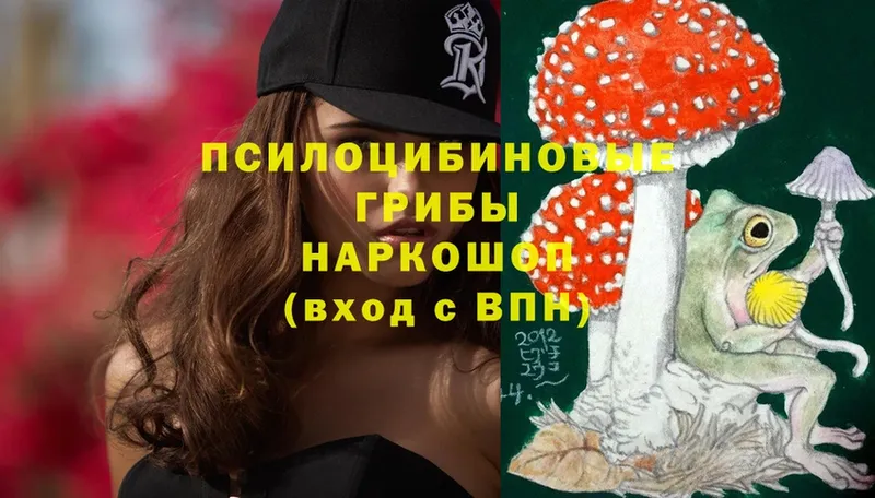 купить   Нижнекамск  Галлюциногенные грибы Magic Shrooms 